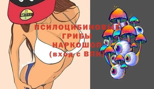 гашик Балабаново