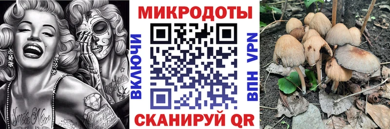 Галлюциногенные грибы Psilocybe  Горячий Ключ 